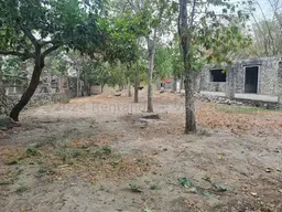 Vista 13