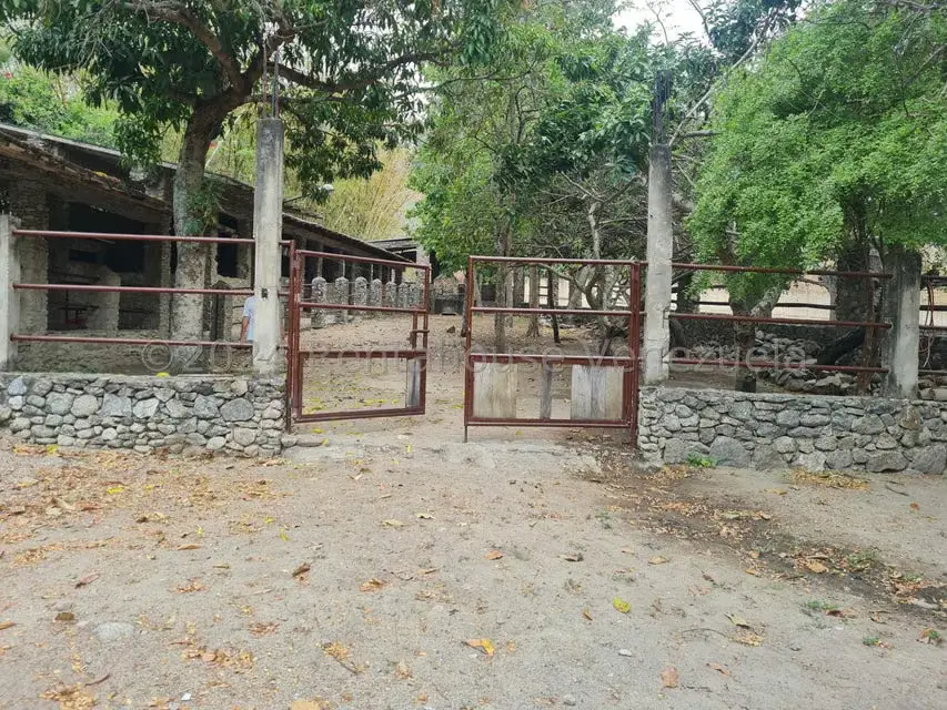 Terreno (Residencial) en Venta en San Felipe, Yaracuy - 15