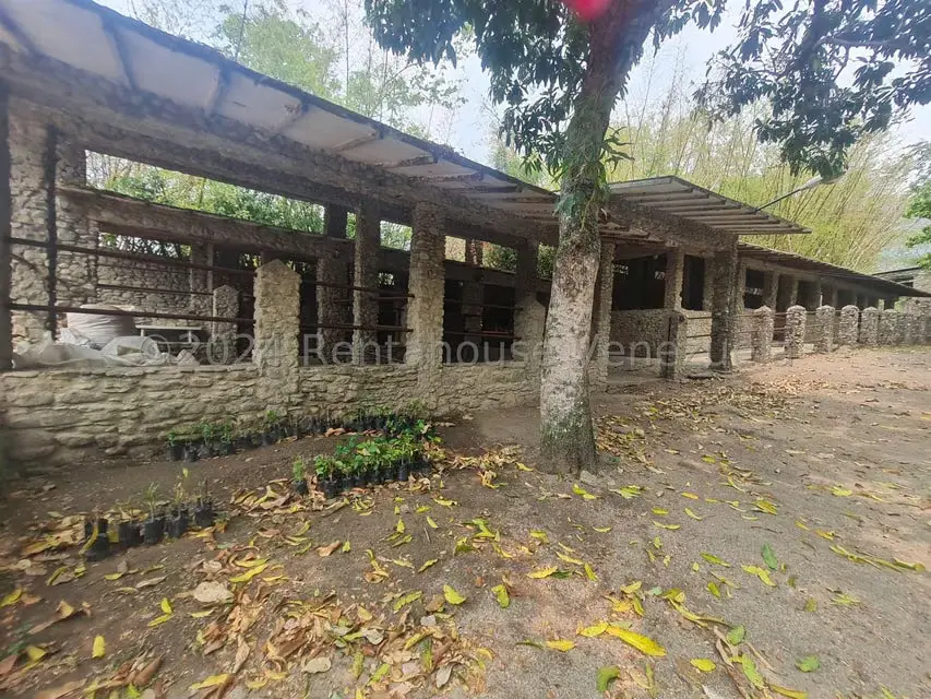 Terreno (Residencial) en Venta en San Felipe, Yaracuy - 16
