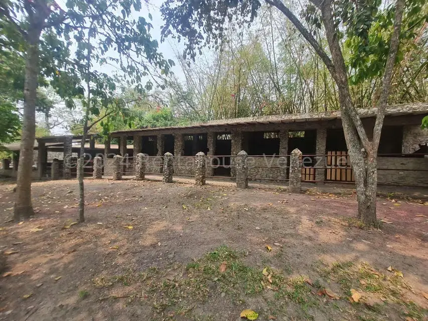 Terreno (Residencial) en Venta en San Felipe, Yaracuy - 17