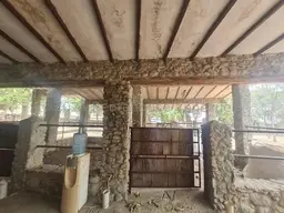 Vista 19