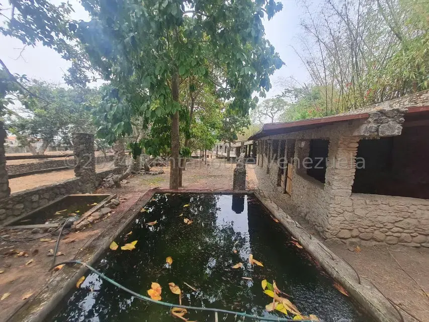 Terreno (Residencial) en Venta en San Felipe, Yaracuy - 22