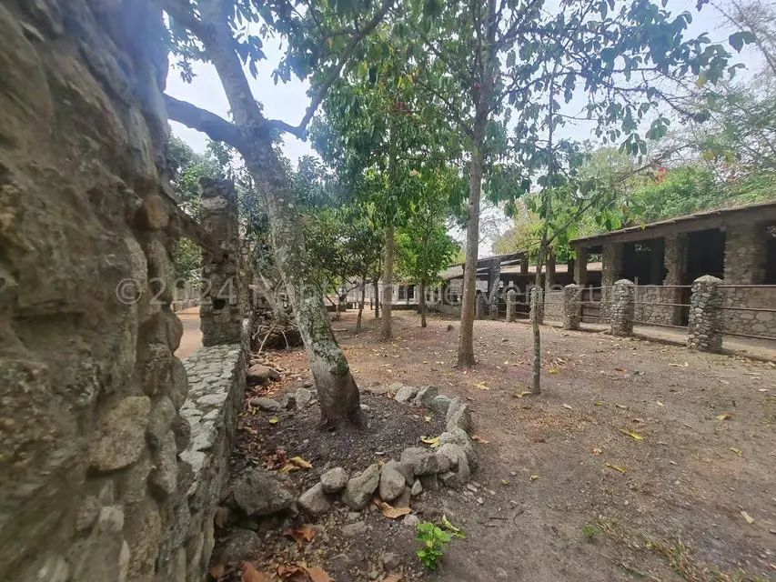 Terreno (Residencial) en Venta en San Felipe, Yaracuy - 25