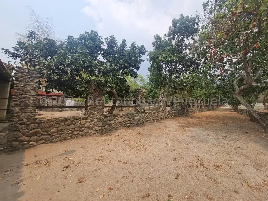Terreno (Residencial) en Venta en San Felipe, Yaracuy - 5