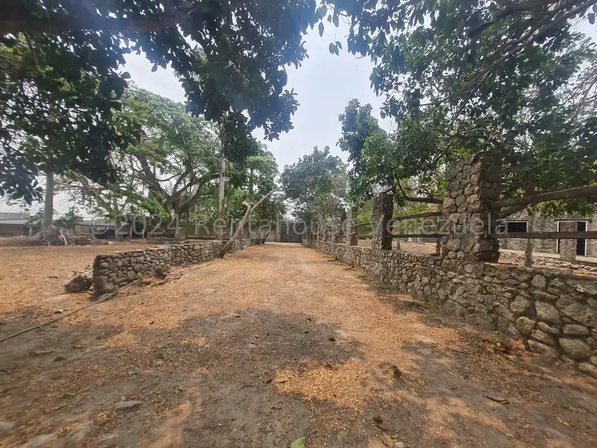 Terreno (Residencial) en Venta en San Felipe, Yaracuy - 6