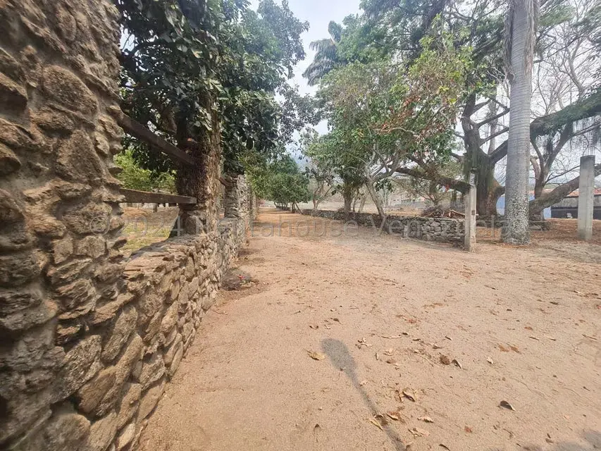 Terreno (Residencial) en Venta en San Felipe, Yaracuy - 7