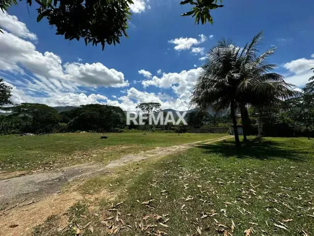 Terreno en Venta - carretera Yagua - La Cumaca - 5
