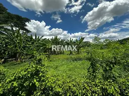 View 8