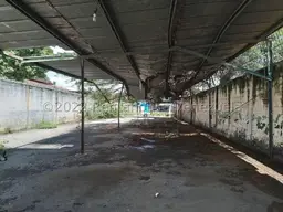 Vista 5