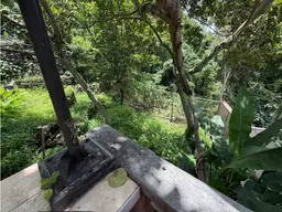 Vista 20