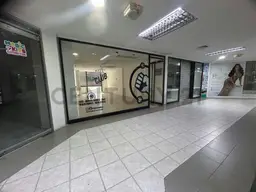 Vista 5