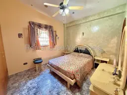 View 31