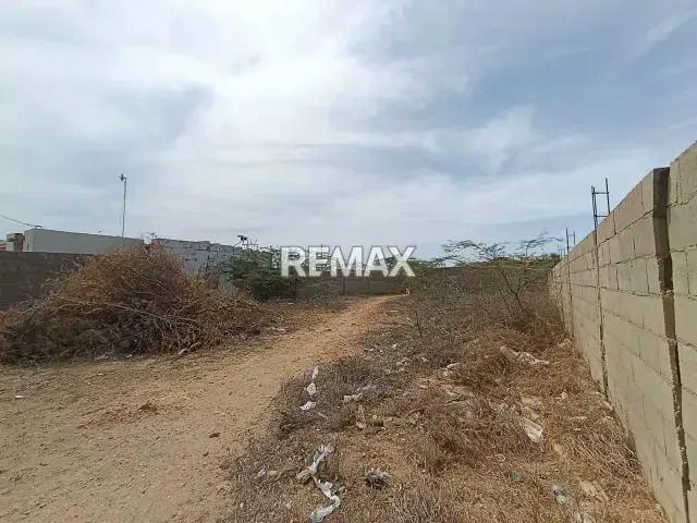 Terreno ubicado en Los Taques. - 2