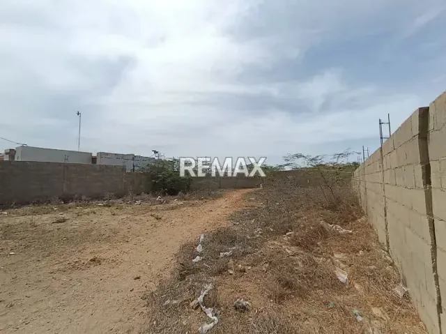 Terreno ubicado en Los Taques. - 3