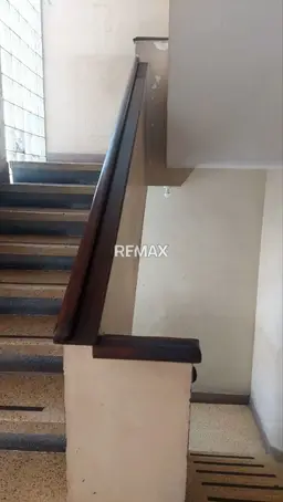 Vista 5