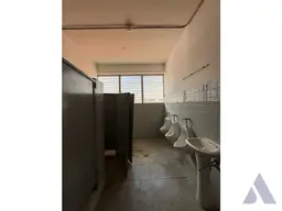 Vista 14
