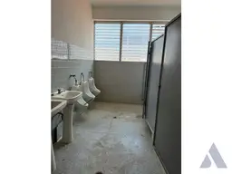 Vista 15