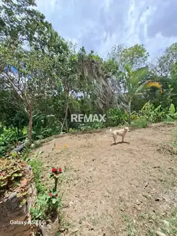 View 8