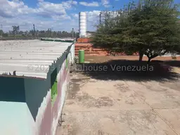 Vista 24