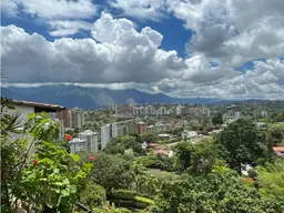 View 14