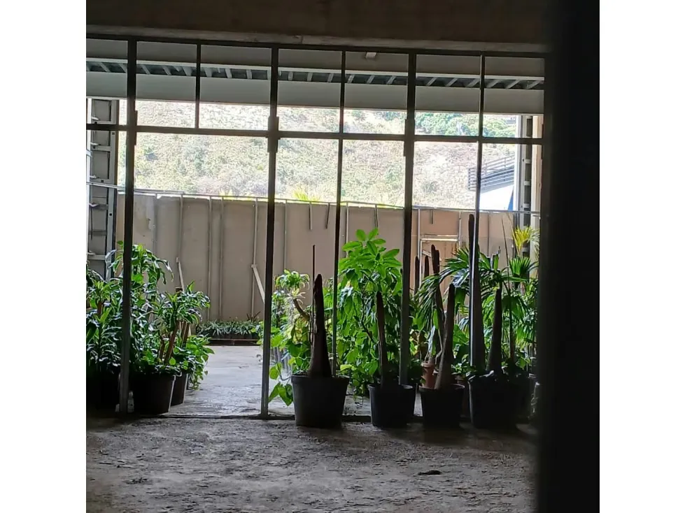Se Vende Local 137m²-NIVEL PLAZA-C.C.Prq.Cerro Verde-RG - 6