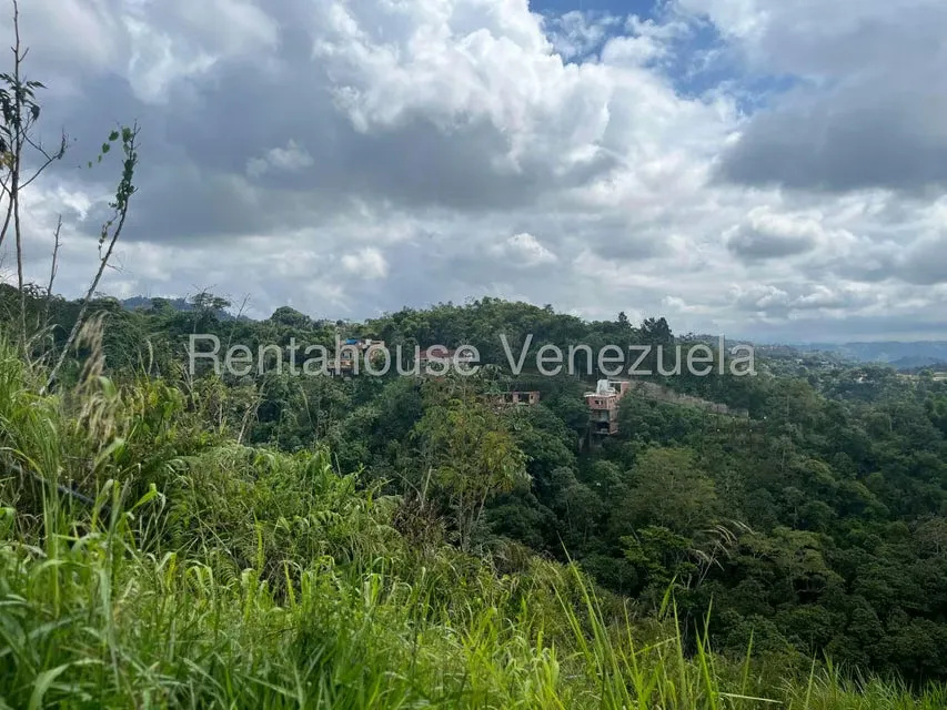 Terreno (Residencial) en Venta en Los Robles, Distrito Metropolitano - 7