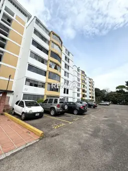 View 15