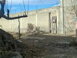 View 19