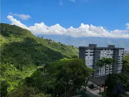 View 23