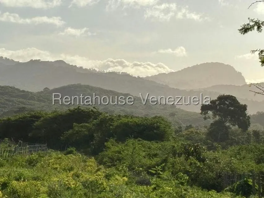 Terreno (Finca) en Venta en Jacura, Falcon