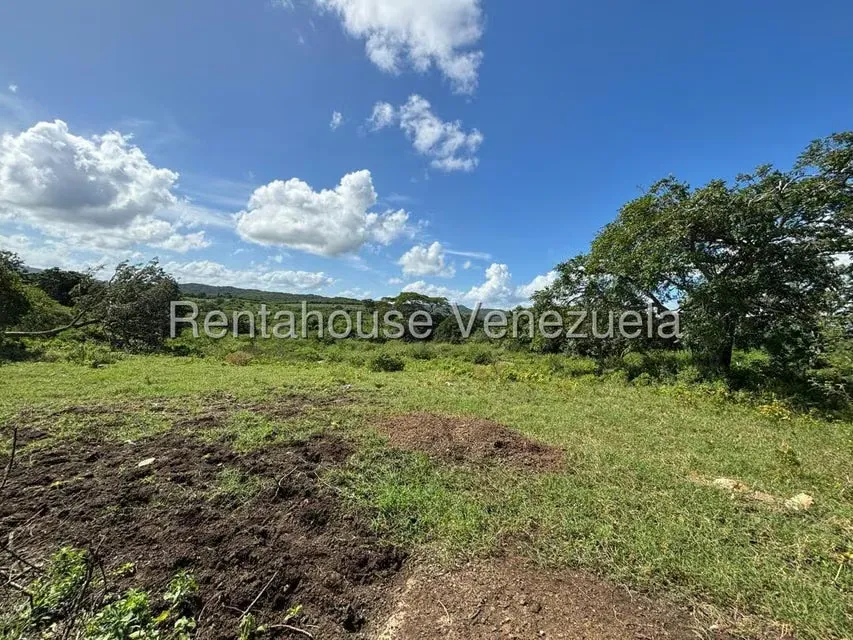 Terreno (Finca) en Venta en Jacura, Falcon - 3