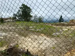 Vista 6