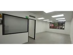 Vista 11