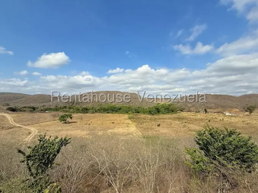 Terreno (Finca) en Venta en Municipio Peña, Yaracuy