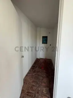 Vista 17