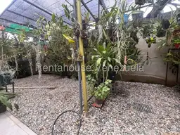 Vista 15