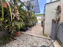 Vista 19