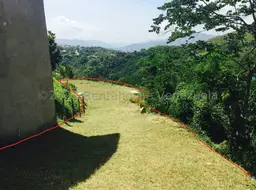 View 1