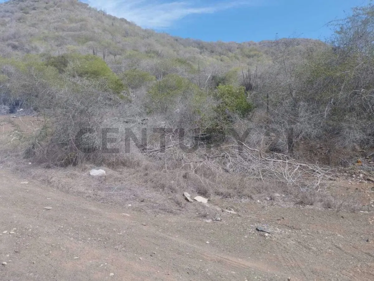TERRENO EN APOSTADERO,ISLA DE MARGARITA - 2