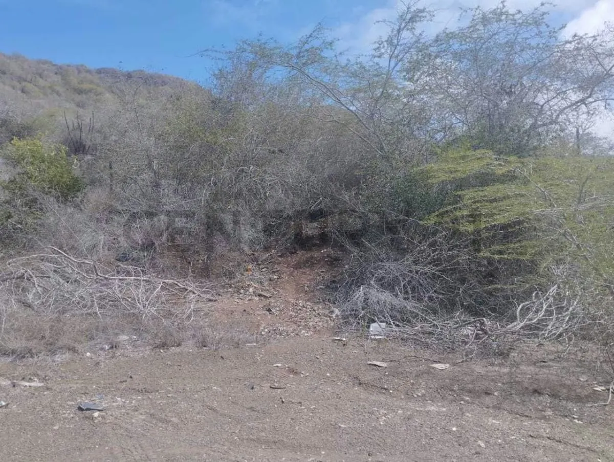 TERRENO EN APOSTADERO,ISLA DE MARGARITA - 3