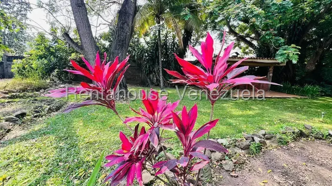 Casa (1 Nivel) en Venta en Santiago Mariño, Aragua - 52