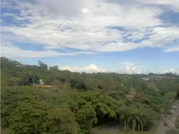 View 4