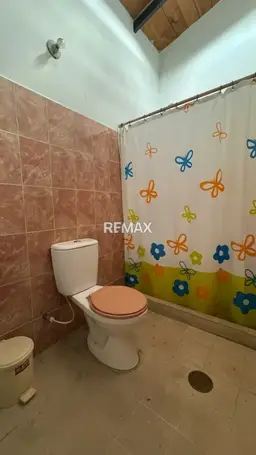 Vista 14