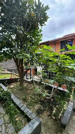 Vista 18