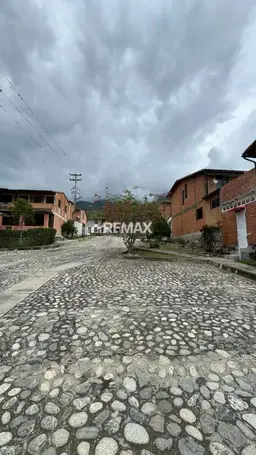 Vista 20