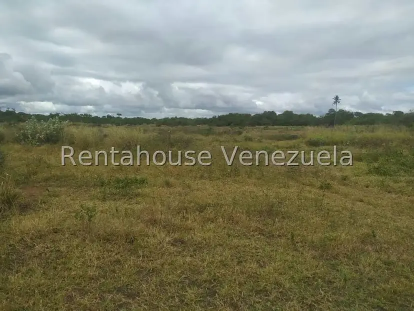 Terreno (Residencial) en Venta en Boca de Aroa, Falcon