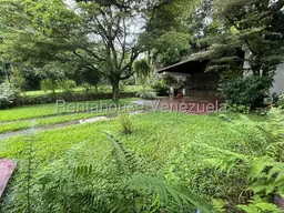View 53