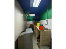 Vista 5