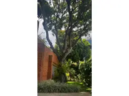 View 32