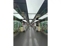 Vista 20